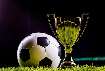 略性的自我 略性的自我